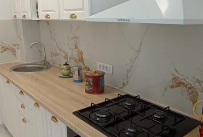 2 camere Centrul Istoric-Piata Sf Anton ideal investitie/regim hotelier - 6