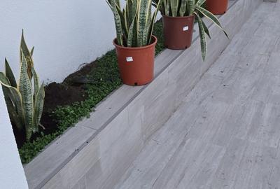 Casă cu 3 camere cu Teren 282 Mp în Lazu - 4