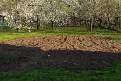 Casă individuală cu 2 camere cu Teren 1200 Mp în Căpușu Mic - 8