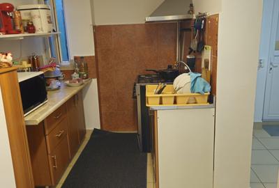 Casa 5 camere,parter,mobilata ,utilata si renovata recent. - 14