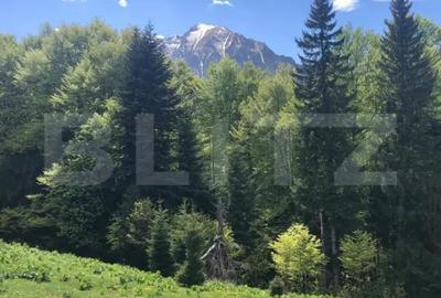 Teren de 2100 mp, în Central