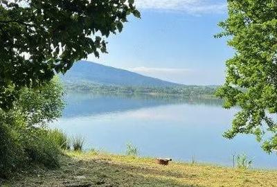 Teren de vanzare 6000 mp cu iesire la Lac Surduc - 5