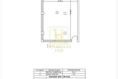 Spațiu comercial, de 65.199996948242 mp, în Valea Lupului - 1