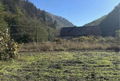 Casă cu Teren 1600 Mp în Romos - 3