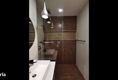Apartament cu 2 camere, mobilat în Tei - 11