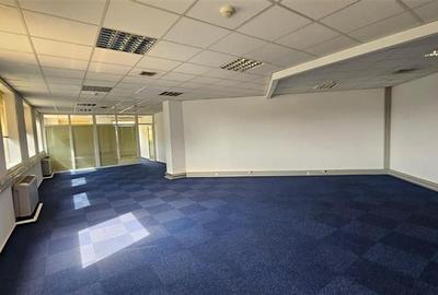 Centru de business multifunctional - inchirieri birouri de la 13 mp - 10