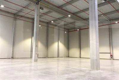 Hala moderna, nou construita cu cele mai noi finisaje - 2