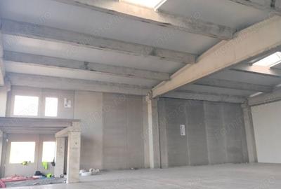 Spațiu comercial, de 523 mp, în Sânandrei - 2