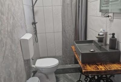 Casă cu 3 camere în Archita - 2