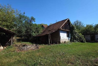 Teren intravilan cu potential, casa si anexe in Lunca - 6