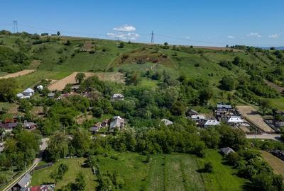 Teren agricol intravilan de 7500 mp, în Parava - 4