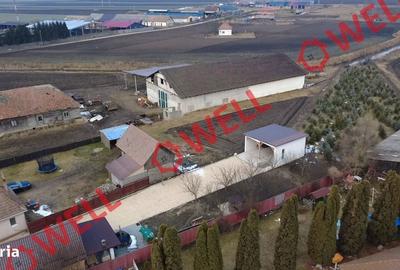 Casă cu 3 camere cu Teren 2567 Mp în Catalina - 12