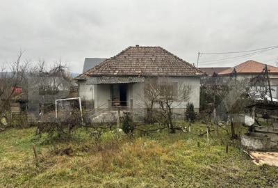 Teren 3000 mp + 2 case de vanzare-Ca?eiu - 13