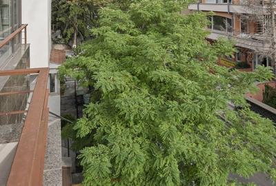 3 Splendid in Primaverii etaj 2 din 3, in bloc butic,  parcare - 13