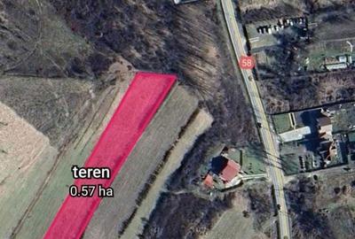 Teren de 5755 mp, în Calea Caransebeșului - 1