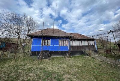 Casă cu 3 camere cu Teren 35 Mp în Ulieș - 2