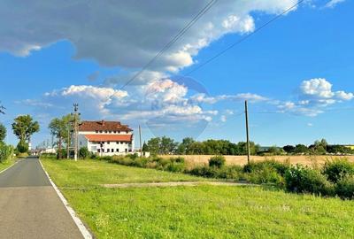 De vanzare pensiunea "Casa Alba" Pecica/Arad. - 1