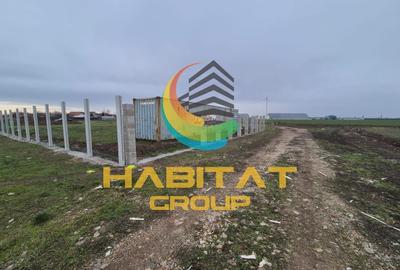 Teren intravilat 500 mp Afumati Sindrilita - 1