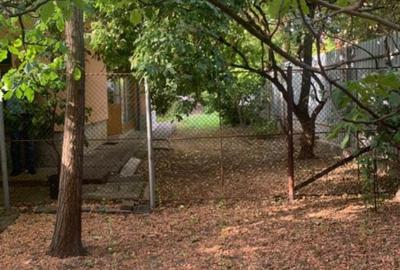 Casa 3 camere cu 2 fronturi plus 860 mp Lipovei-Aradului 178000 euro - 2