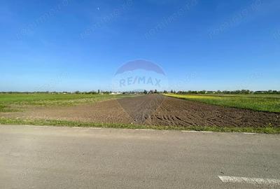 Teren de 6220 mp, în Strejnicu