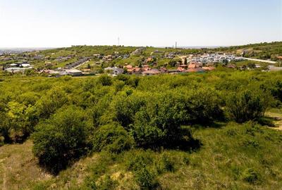 Teren intravilan de 2414 mp, în Dealuri Oradea - 5