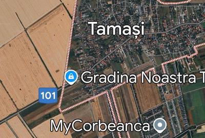 Teren Construcții intravilan de 17000 mp, în Tamași - 4