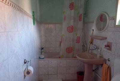 Casă cu 2 camere cu Teren 2100 Mp în Bichiș - 8