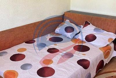 CHIRIE GARSONIERA VALEA ROSIE - 1