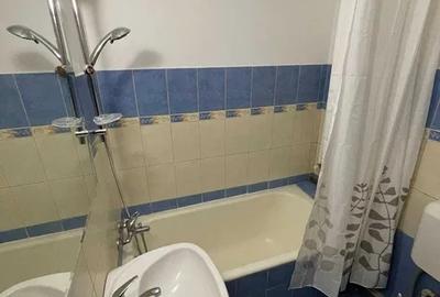 Apartament cu 1 camera, PET FRIENDLY, zona Independentei - 4