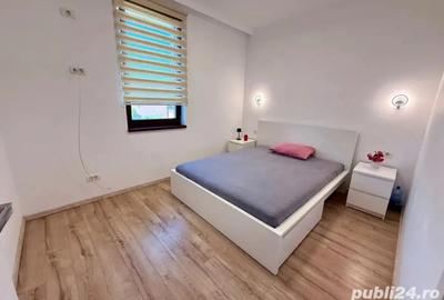 Duplex de inchiriat in dumbravita - 1