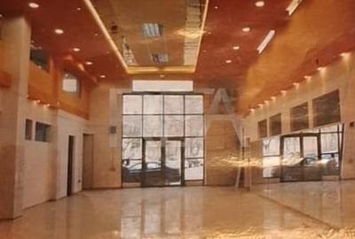 CENTRU COMERCIAL PENTRU SUPERMARKET ZONA COLENTINA - LIZEANU - 2