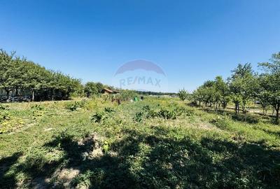 Teren Construcții intravilan de 6210 mp, în Apateu - 16