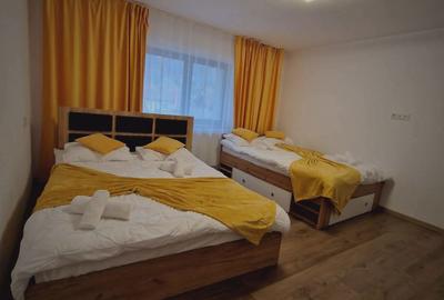 Casă cu 3 camere cu Teren 880 Mp în Văliug - 5