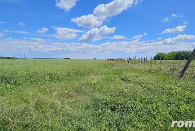 Teren de 2128 mp, în Tâncăbești - 3