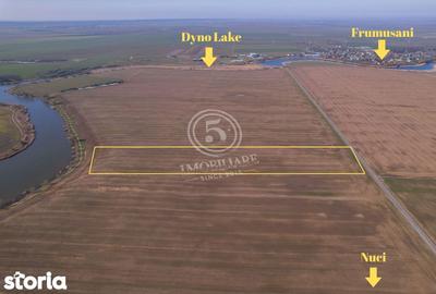 Teren de 17500 mp, în Vasilați - 3