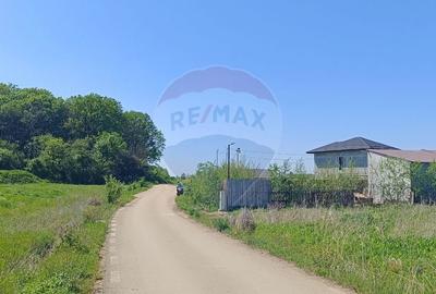 Teren Construcții intravilan de 980 mp, în Ciolpani - 1