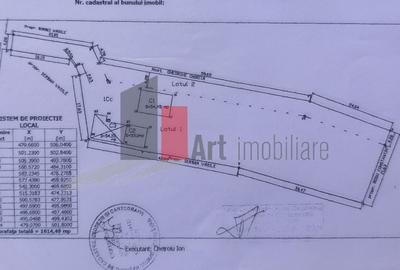 Casa curte cu teren 1600 mp Manolache - 2