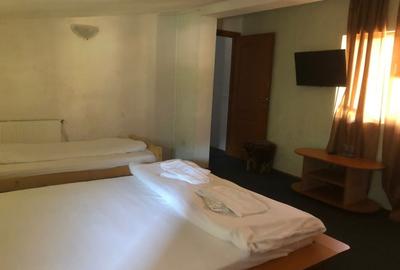 Direct Proprietar : Vila Sinaia - Ocazie unica - 6