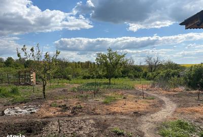 Casă cu 3 camere cu Canalizare în Petru Rareș - 2