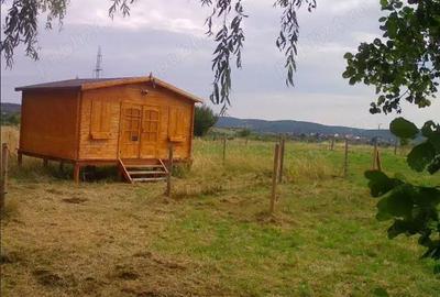 Teren de 16800 mp, în Sibiel - 10