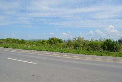 Teren intravilan industrial cu PUZ si utilitati in apropiere 6000mp zona Vest - 6