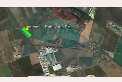 Teren Investi?ional de 52500 mp in Arice?tii Rahtivani... - 3