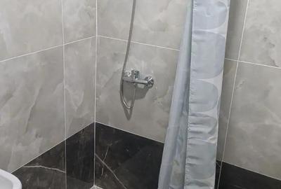 De inchiriat garsoniera in zona Lipovei - 3