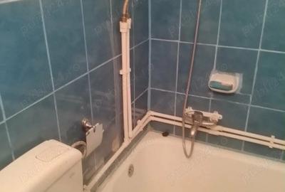 Casă cu 3 camere cu Teren 1234 Mp în Burila Mare - 3