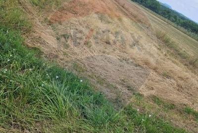 Teren Construcții intravilan de 1945 mp, în Sarasău - 3