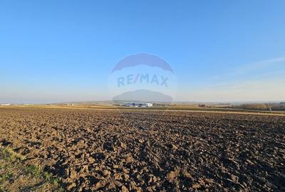 Teren agricol extravilan de 6100 mp, în Stroiești - 8