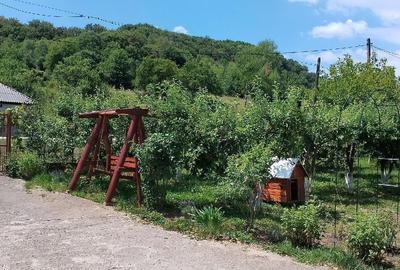 Casă cu 4 camere cu Teren 1000 Mp în Vulcan - 3
