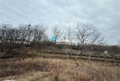 Spațiu comercial, în Copou - 10