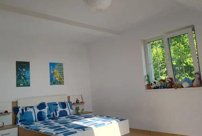 Vila zona lunca ceta?uii - 8