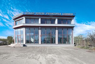 Sediu Firma | Activitati Comerciale - 17